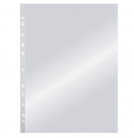 Файлы 110 мкм (50 штук)