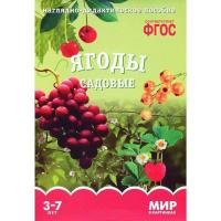 ФГОС Мир в картинках "Ягоды садовые"