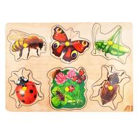 Рамка вкладыши "Насекомые"