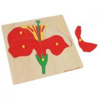 Рамка-вкладыши "Цветок"