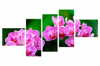 Модульная картина "Яркая орхидея"