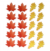 Набор магнитных карточек "Листья"