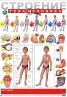 Обучающий плакат "Строение тела человека"