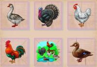 Разрезные картинки "Птицы на ферме"