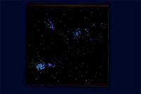 Фиброоптический настенный ковер "Галактика" (200х100 см)