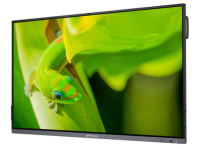 Интерактивная панель 75