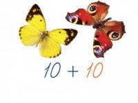 Счетный материал на магнитах "Бабочки" (ж+к)