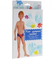 Дидактические карточки "Как устроен человек"