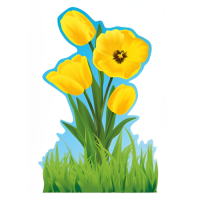 Наклейка "Цветок-желтые тюльпаны"